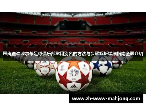 围绕查询波尔蒂足球俱乐部常用别名的方法与步骤解析详细指南全面介绍