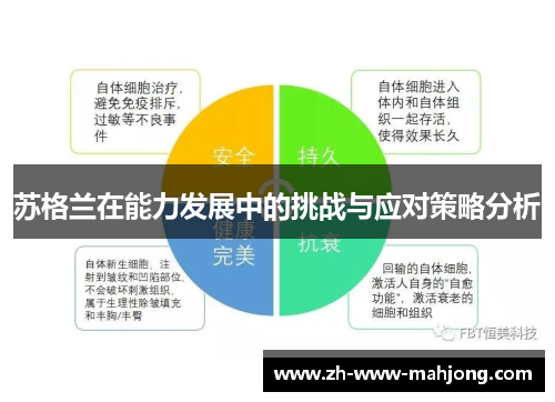 苏格兰在能力发展中的挑战与应对策略分析 苏格兰在能力发展中的挑战与应对策略分析